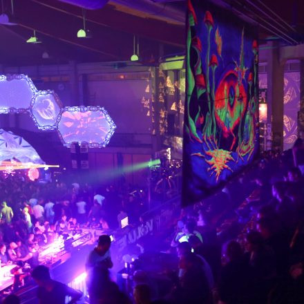 Paradise Winter Festival @ Budocenter