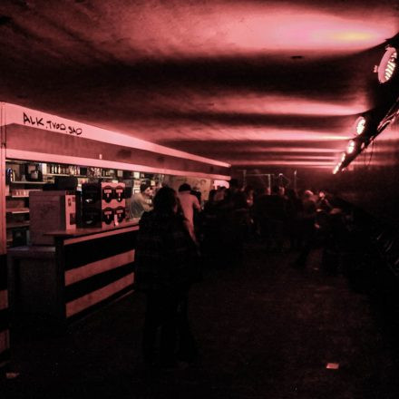 Dub Champions Festival @ Fluc Wanne