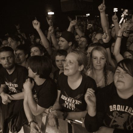 BROILERS - 'NOIR' LIVE 2014 @ Arena Wien