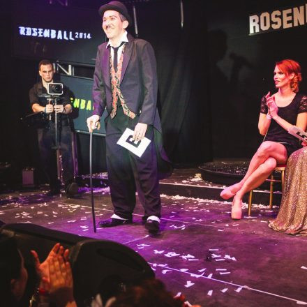 Rosenball 2014 @ Palais Auersberg