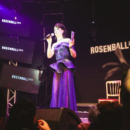 Rosenball 2014 @ Palais Auersberg