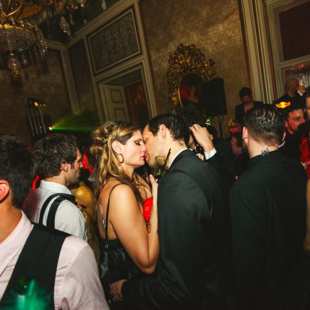 Rosenball 2014 @ Palais Auersberg