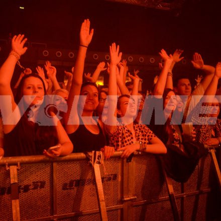 Alligatoah Live @ Gasometer