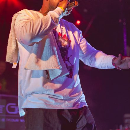 Big Daddy Kane Live @ WUK