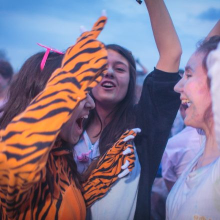 Holi Festival Of Colours Wien 2014 @ Donauinsel