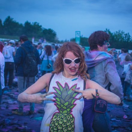 Holi Festival Of Colours Wien 2014 @ Donauinsel