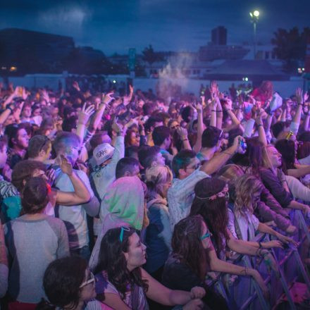 Holi Festival Of Colours Wien 2014 @ Donauinsel