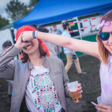 Holi Festival Of Colours Wien 2014 @ Donauinsel