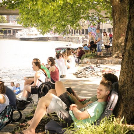 Donaukanaltreiben