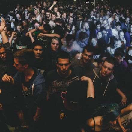 Vandal is Wicked! @ Flex