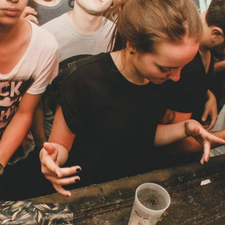 Vandal is Wicked! @ Flex