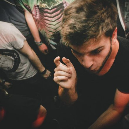Vandal is Wicked! @ Flex