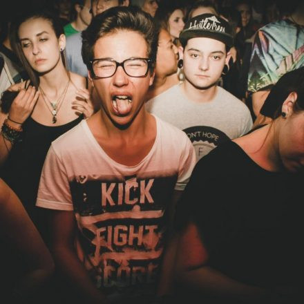 Vandal is Wicked! @ Flex