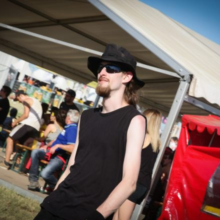 Nova Rock Festival 2014 - Day 1 @ Pannonia Fields II