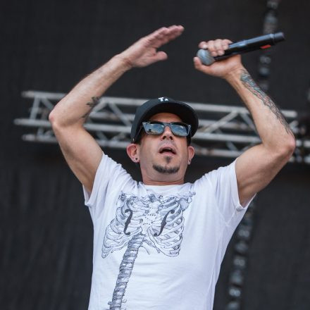 Nova Rock Festival 2014 - Day 1 @ Pannonia Fields II