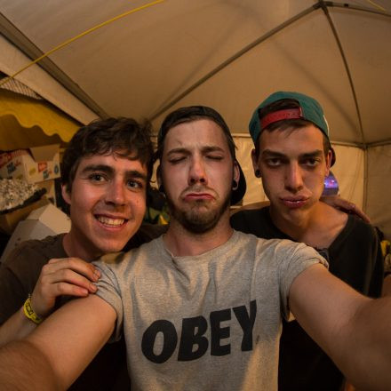 Nova Rock Festival 2014 - Day 1 @ Pannonia Fields II Part II