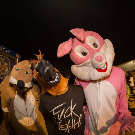 Nova Rock Festival 2014 - Day 1 @ Pannonia Fields II Part II