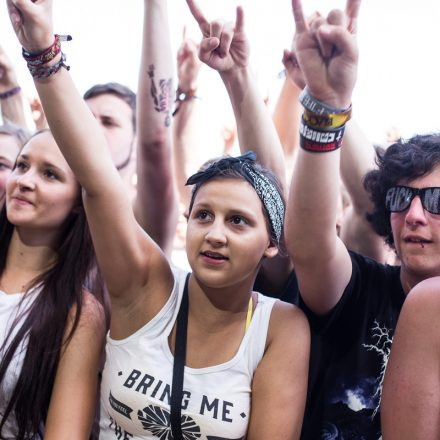 Nova Rock Festival 2014 - Day 1 @ Pannonia Fields II Part II