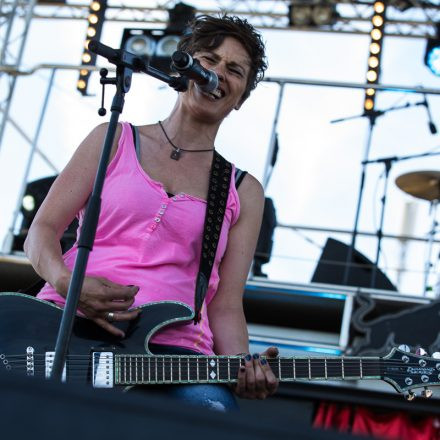 Nova Rock Festival 2014 - Day 1 @ Pannonia Fields II Part II