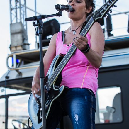 Nova Rock Festival 2014 - Day 1 @ Pannonia Fields II Part II