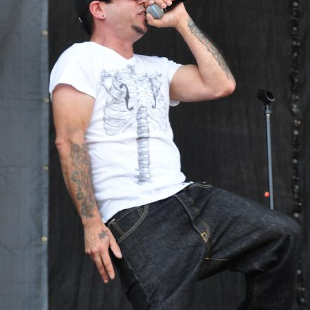 Nova Rock Festival 2014 - Day 1 @ Pannonia Fields II Part III