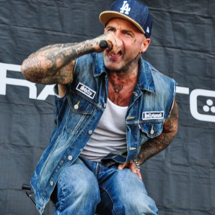 Nova Rock Festival 2014 - Day 1 @ Pannonia Fields II Part III