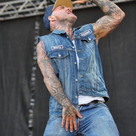 Nova Rock Festival 2014 - Day 1 @ Pannonia Fields II Part III