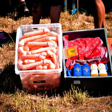 Nova Rock Festival 2014 - Day 1 @ Pannonia Fields II Part III