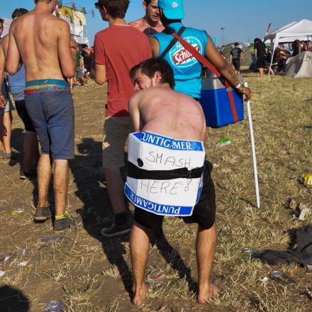 Nova Rock Festival 2014 - Day 1 @ Pannonia Fields II Part III