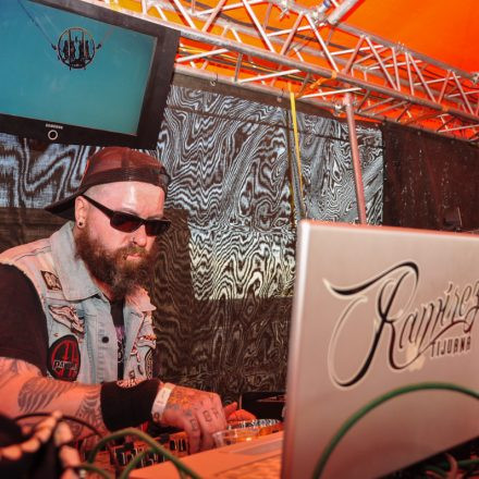 Nova Rock Festival 2014 - Day 1 @ Pannonia Fields II Part III