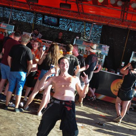 Nova Rock Festival 2014 - Day 1 @ Pannonia Fields II Part III