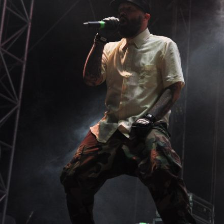 Nova Rock Festival 2014 - Day 1 @ Pannonia Fields II Part III
