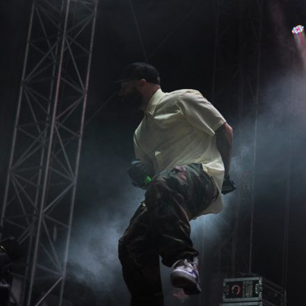 Nova Rock Festival 2014 - Day 1 @ Pannonia Fields II Part III
