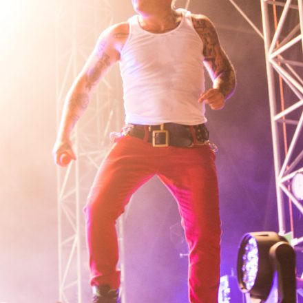 Nova Rock Festival 2014 - Day 1 @ Pannonia Fields II Part III