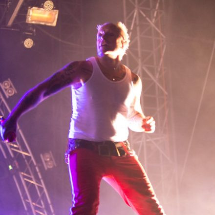 Nova Rock Festival 2014 - Day 1 @ Pannonia Fields II Part III