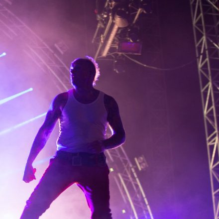Nova Rock Festival 2014 - Day 1 @ Pannonia Fields II Part III