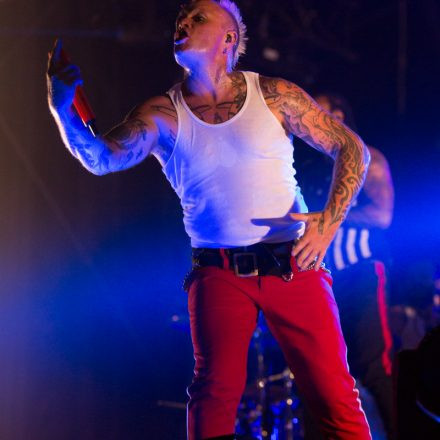 Nova Rock Festival 2014 - Day 1 @ Pannonia Fields II Part III