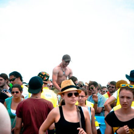 Nova Rock Festival 2014 - Day 1 @ Pannonia Fields II Part III