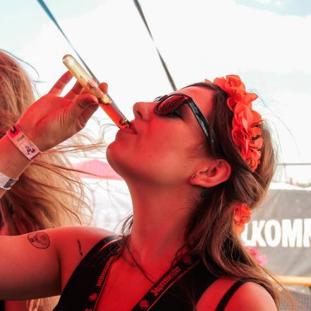 Nova Rock Festival 2014 - Day 1 @ Pannonia Fields II Part IV