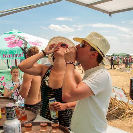 Nova Rock Festival 2014 - Day 1 @ Pannonia Fields II Part IV