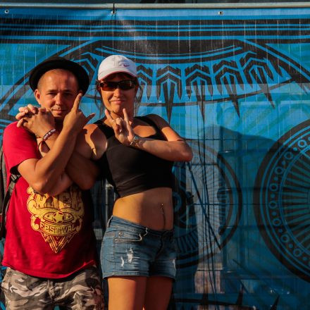 Nova Rock Festival 2014 - Day 1 @ Pannonia Fields II Part IV