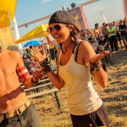 Nova Rock Festival 2014 - Day 1 @ Pannonia Fields II Part IV