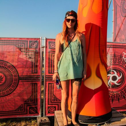Nova Rock Festival 2014 - Day 1 @ Pannonia Fields II Part IV