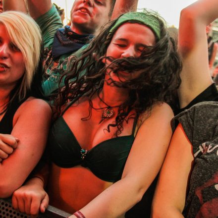 Nova Rock Festival 2014 - Day 1 @ Pannonia Fields II Part IV