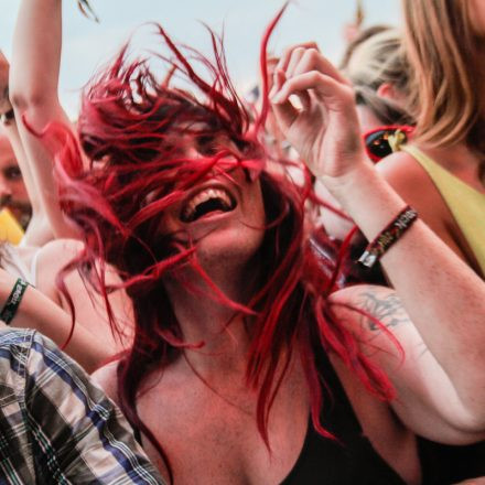 Nova Rock Festival 2014 - Day 1 @ Pannonia Fields II Part IV