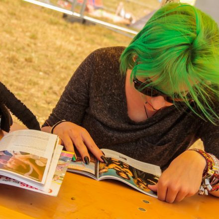 Nova Rock Festival 2014 - Day 1 @ Pannonia Fields II Part IV
