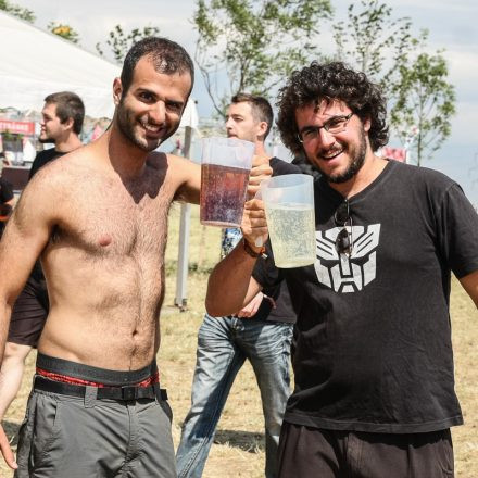 Nova Rock Festival 2014 - Day 2 @ Pannonia Fields II Part II