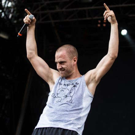 Nova Rock Festival 2014 - Day 2 @ Pannonia Fields II