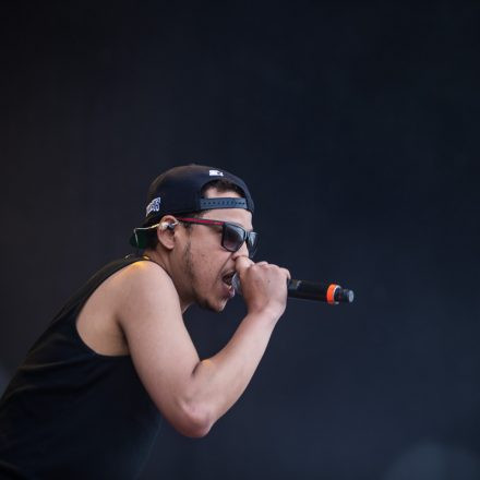 Nova Rock Festival 2014 - Day 2 @ Pannonia Fields II