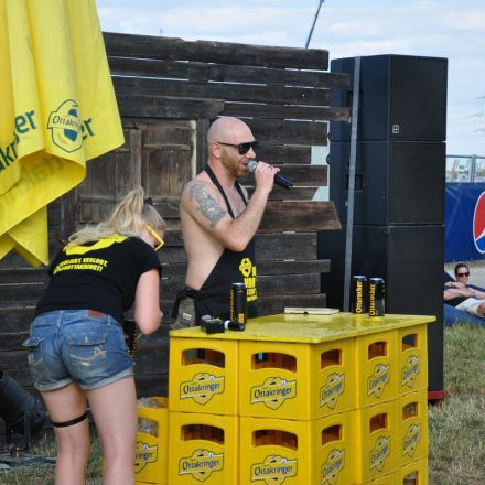 Nova Rock Festival 2014 - Day 2 @ Pannonia Fields II Part III